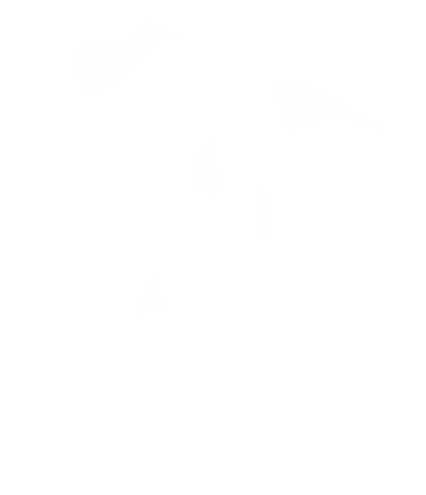 Main Suit