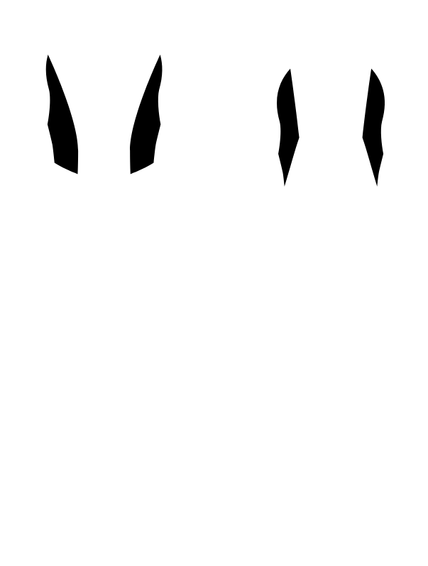 Main Suit