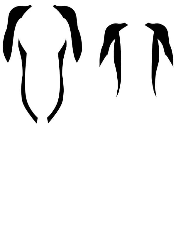 Main Suit