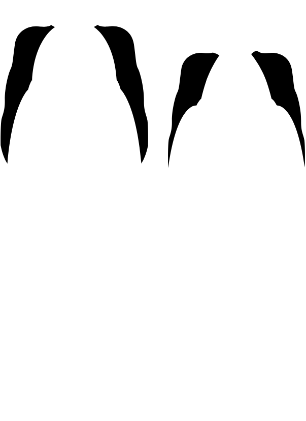 Main Suit
