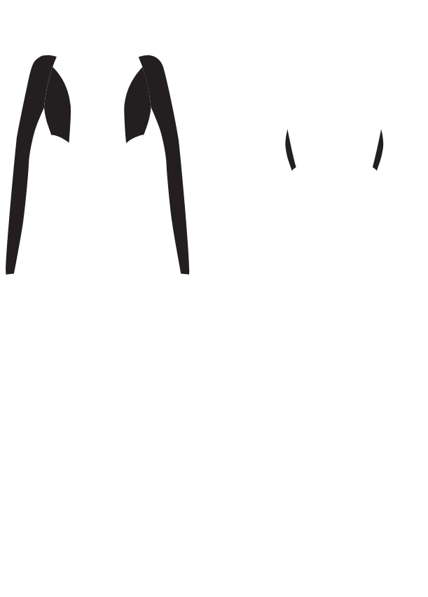 Main Suit