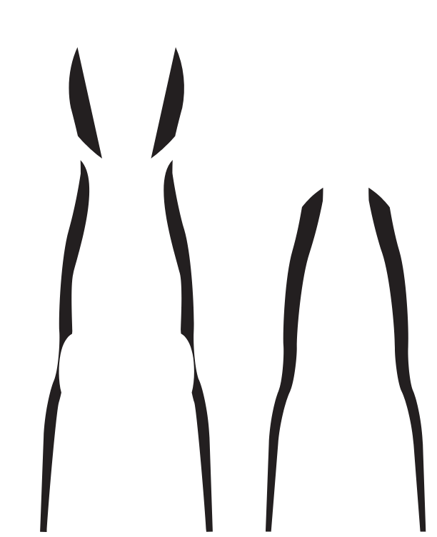 Main Suit