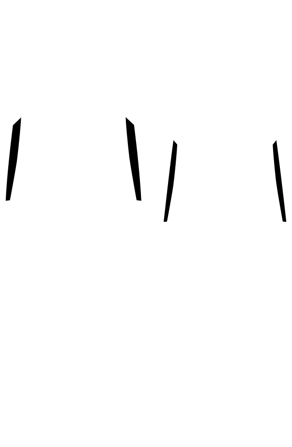 Main Suit