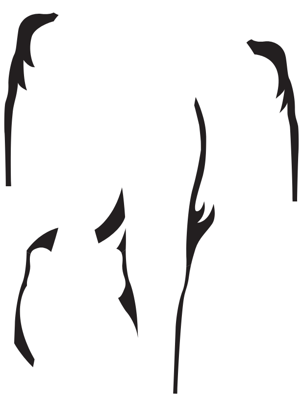 Main Suit