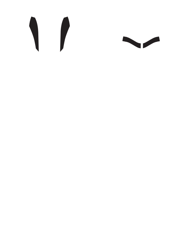 Main Suit