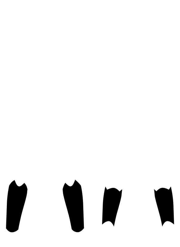 Main Suit