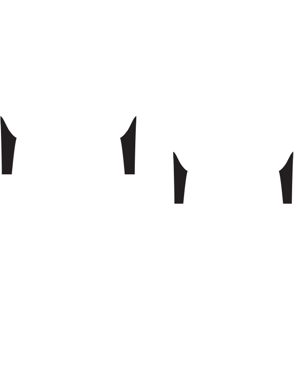 Main Suit
