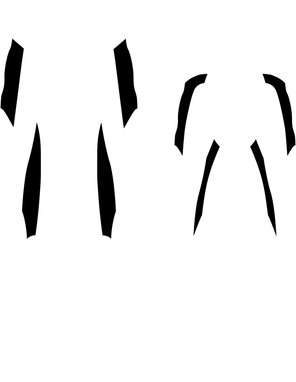 Main Suit