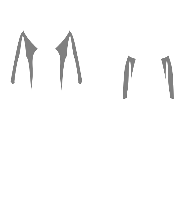 Main Suit