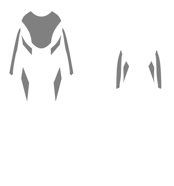Main Suit