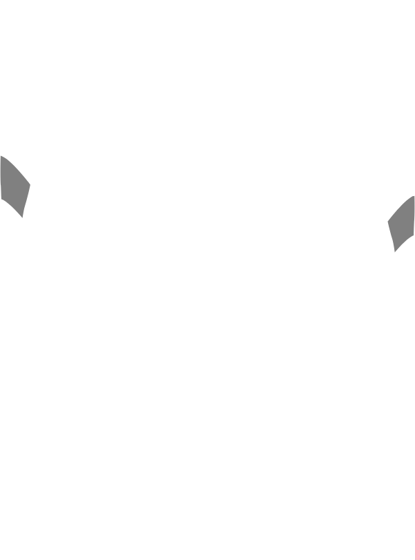 Main Suit